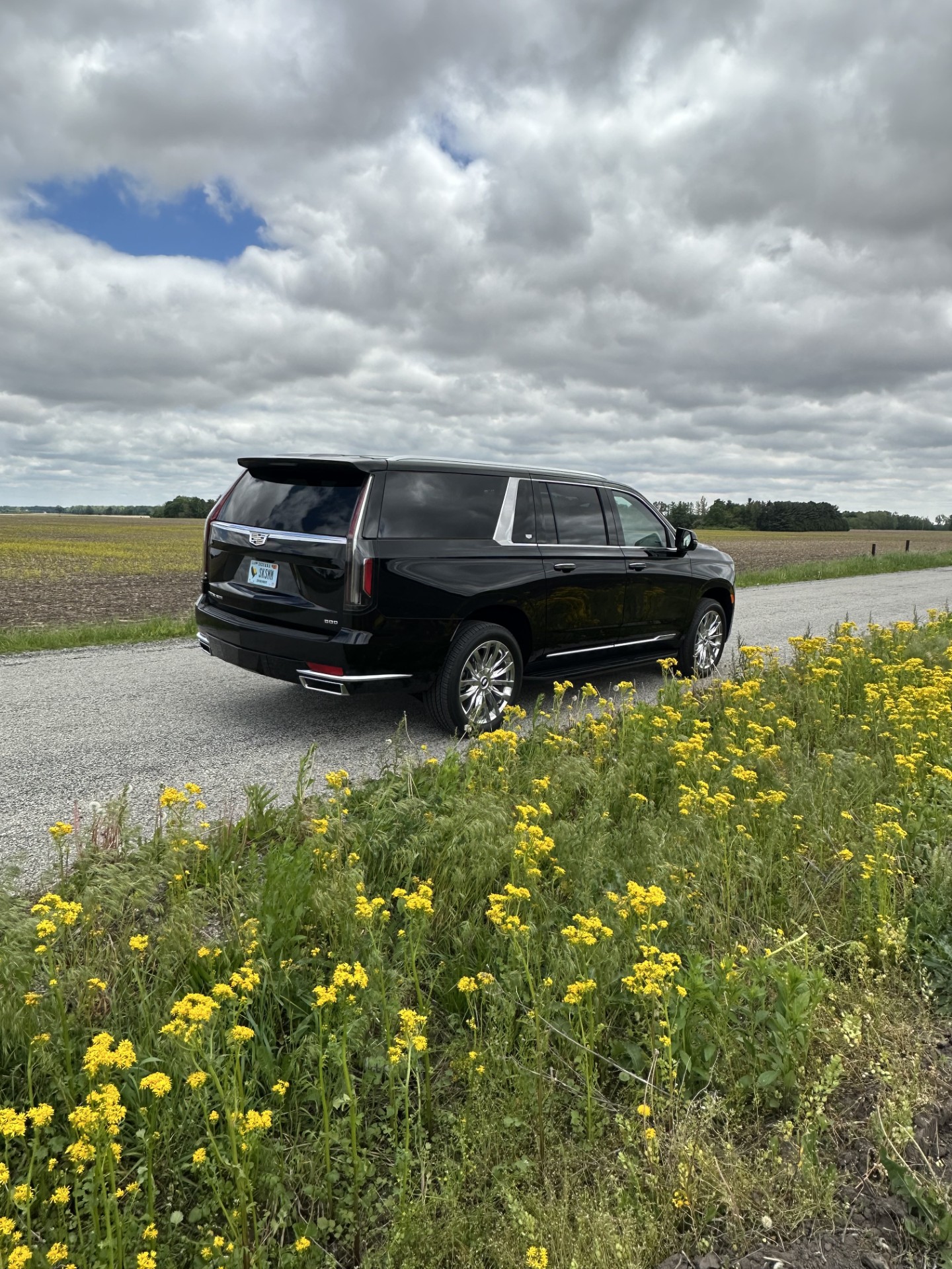 Cadillac Escalade Wedding South Bend Indiana